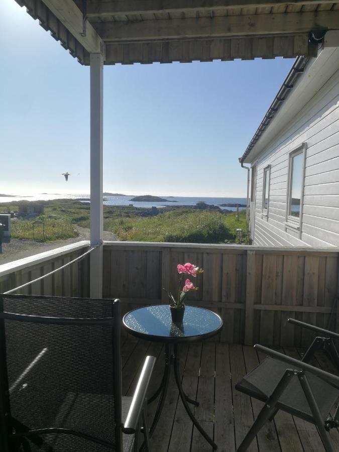 102 - Whale Safari Apartment
