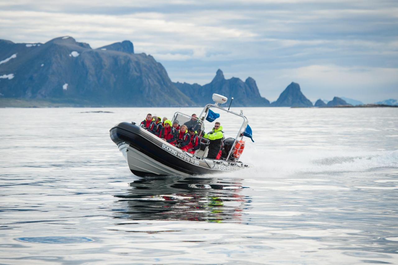 102 - Whale Safari * Andenes